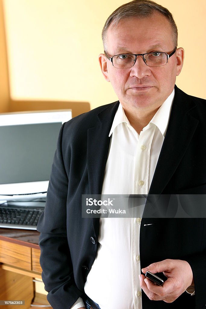 Reifer Geschäftsmann - Lizenzfrei Computer Stock-Foto