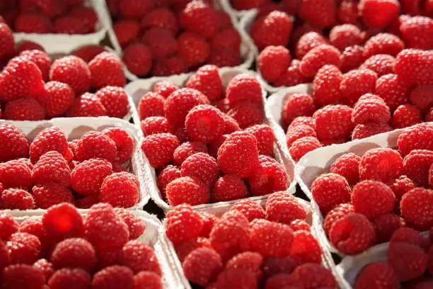 Fresh sweet redraspberries for sale at market, close up. Boxes full of raw raspberries.