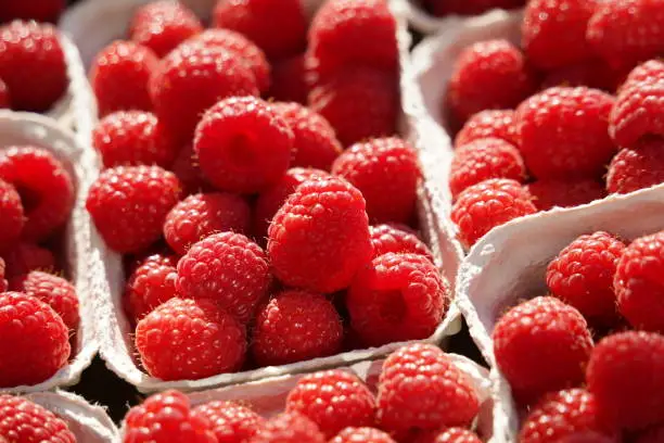 Fresh sweet redraspberries for sale at market, close up. Boxes full of raw raspberries.