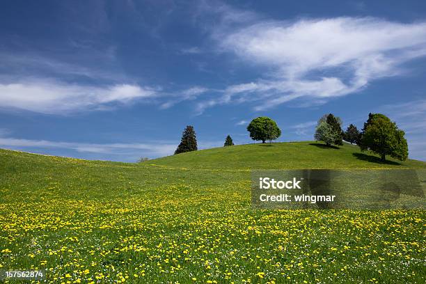 Spring Meadow De Baviera Foto de stock y más banco de imágenes de Abierto - Abierto, Abril, Agricultura