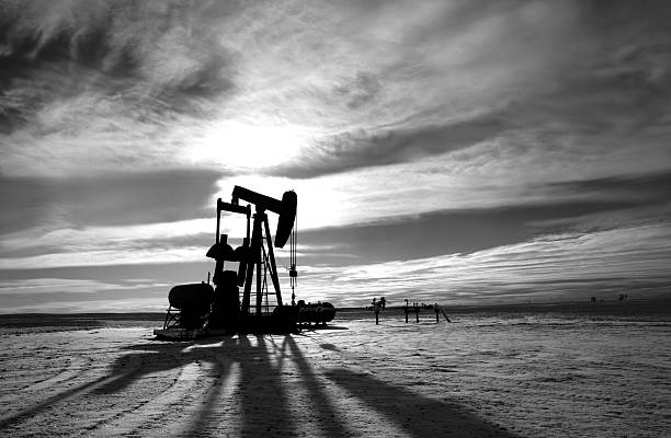 Oil Industry Pumpjack in Black and White A pumpjack in black and white, monochrome, on the prairie. Alberta, Canada. Oil industry image in black and white. Winter. Crude oil, oil equipment, industry, oil fields, oilsands, power, energy, natural gas, natural resource, fossil fuels, and geology and engineering are additional themes. Image taken near Calgary, Alberta.  oil pump photos stock pictures, royalty-free photos & images