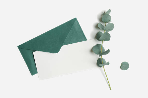 istock Teal envelope and empty paper card mock up with green plant eucalyptus on white background. White blank letter on table. Minimal design stationery, flat lay template, top view, copy space. 1575633199