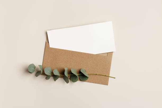 istock Blank paper card mock up and craft envelope with branches eucalyptus leaves on beige background. White empty invitation on table. Minimal lifestyle photo. Flat lay, top view, copy space. 1575633203