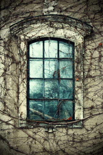 open window with white curtains, abandoned old house in a thicket of trees and shrubs, an old village without people