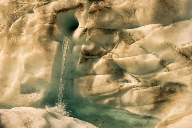 폭스 빙하(fox glacier)의 서던 알프스(southern alps)에 있는 높은 빙하 바닥에서 헬리 하이킹 - ice new zealand cave adventure 뉴스 사진 이미지