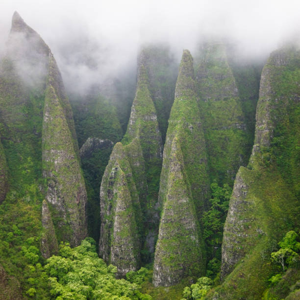 Beautiful shot of the Na Pali coast mountainside taken from the air in a helicopter tour, showing huge cliffs, surrounded by the tropical forest of Kauai, Hawaii, during the day.