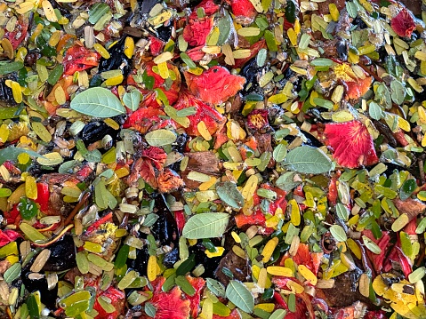 Color leaves