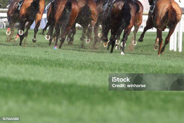 Pferd Laufen Stockfoto und mehr Bilder von Pferderennen - Pferderennen, Sportstrecke, Jockey