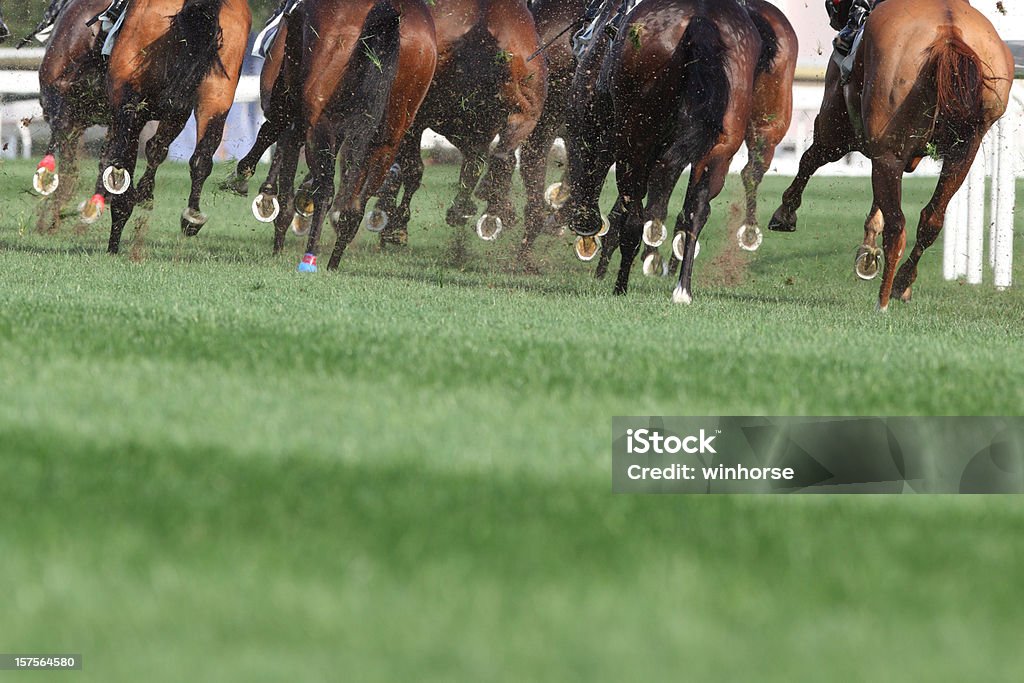 De caballos corriendo - Foto de stock de Carreras de caballos libre de derechos