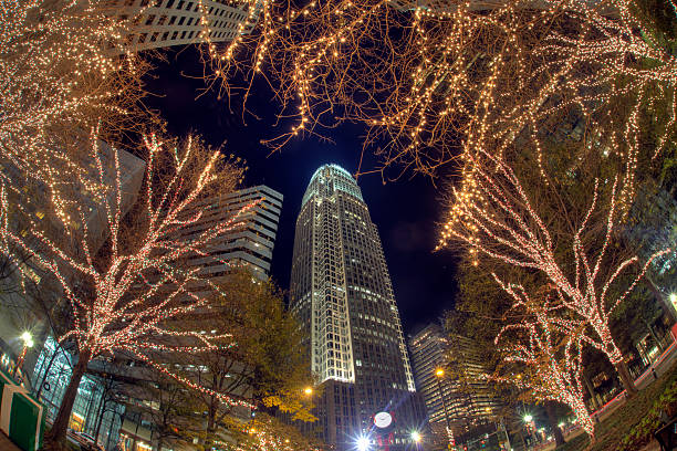 150+ Charlotte North Carolina In Winter Stock Photos, Pictures ...