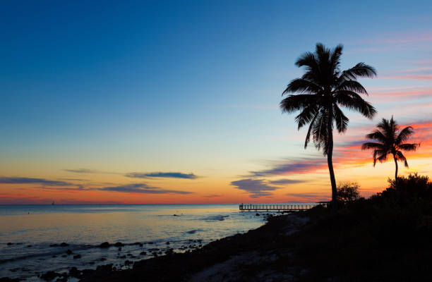 panoramic beach scene, a small pier and palm trees, big pine key, florida keys