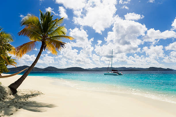 istock tropical Caribbean island 157565402