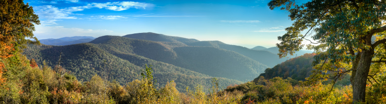 The morning Autumn sun shines on the Blue Ridge Mountains bringing out the brilliant reds and oranges of the deciduous trees. Photo taken on the Skyline Drive in Shenandoah National Park.