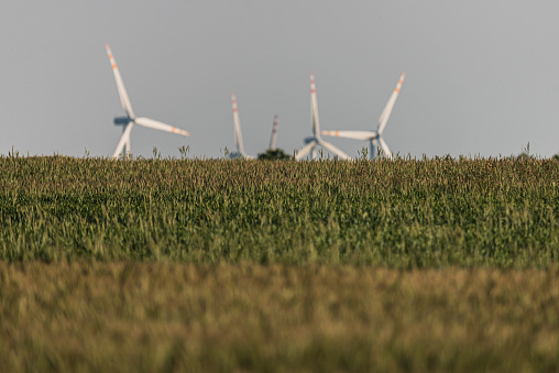 Photo of Wind farm and young rye field. Selective focus. Prefect for background.