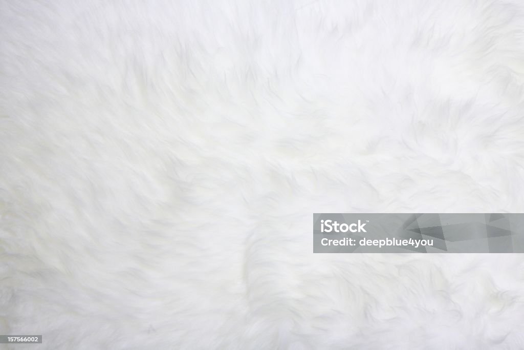 white fur - Foto de stock de Efecto texturado libre de derechos