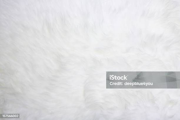 White Fur Foto de stock y más banco de imágenes de Efecto texturado - Efecto texturado, Con textura, Blanco - Color