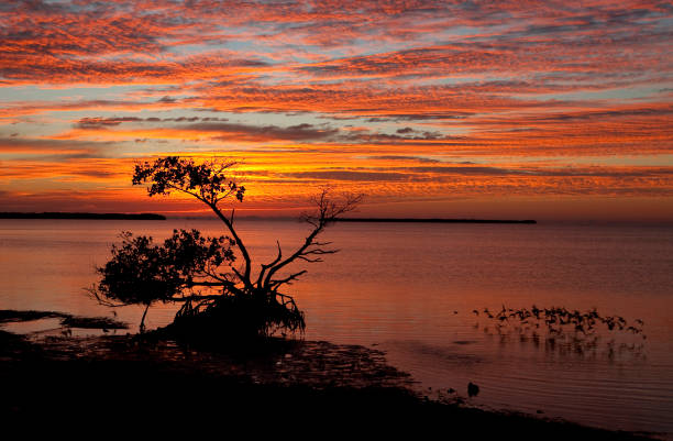 IslaMorada, Florida keys at sunset