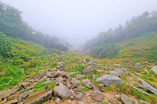 Foggy morning in the mountains. Hiking, hiking. Outdoor recreation.