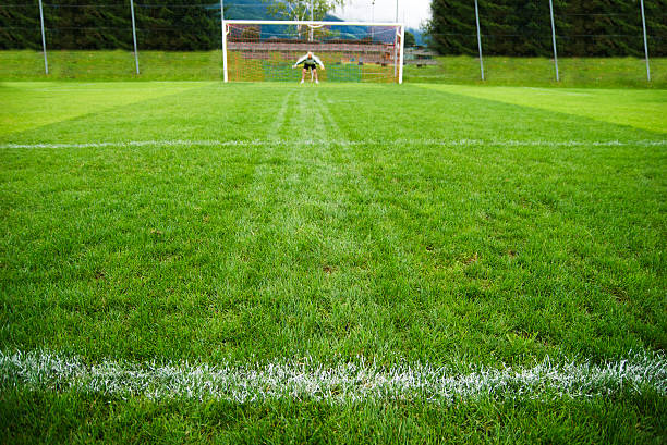 football - soccer field grass single line lawn stock-fotos und bilder