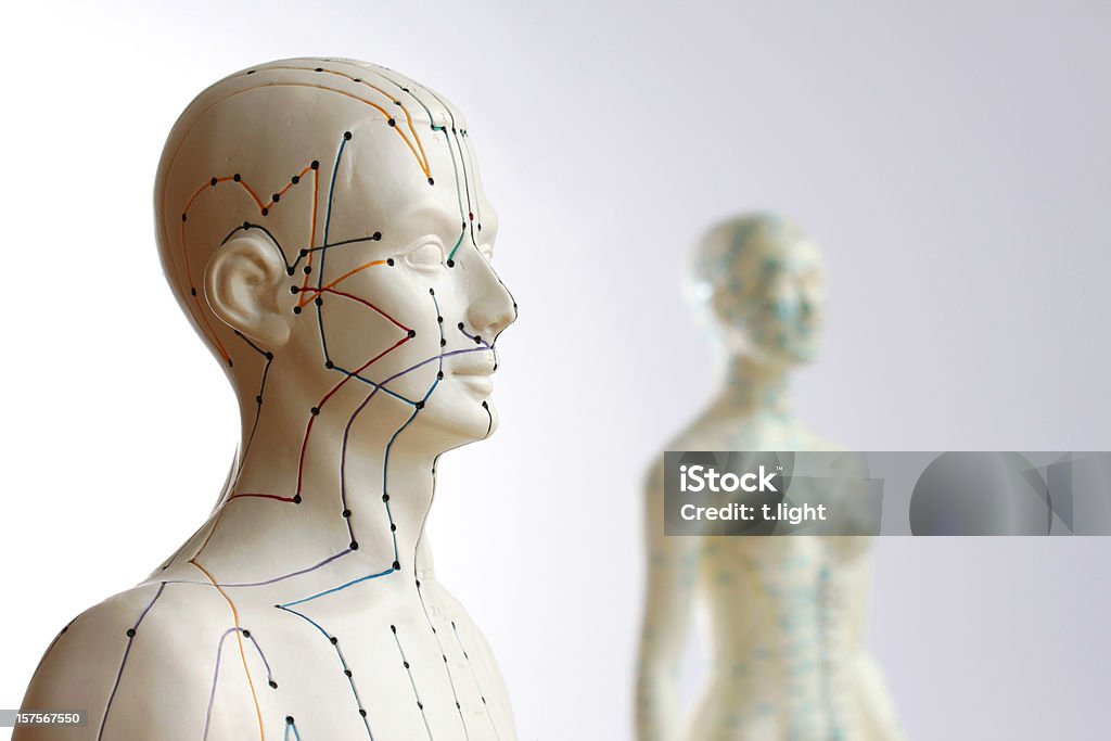 Two acupuncture models - Focus on male  Acupuncture Stock Photo