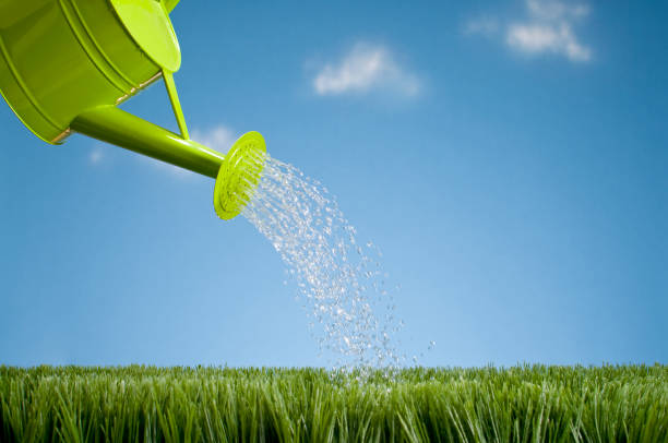 istock Watering Can Showering The Grass 157567594