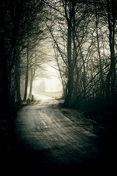Misty morning. Toned image.