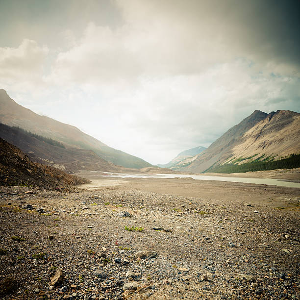 canadian rockies columbia campo de gelo de - extreme terrain - fotografias e filmes do acervo