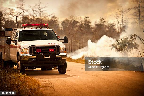 Silvestre Camión De Emergencia Y Humo Foto de stock y más banco de imágenes de Camión de bomberos - Camión de bomberos, EE.UU., Bosque