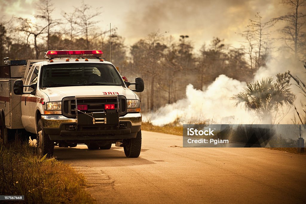 Camion d'urgence de fumée et de nature - Photo de Camion de pompiers libre de droits