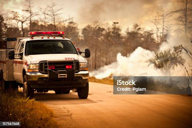 Riserva Naturale Di Fumo E Camion Di Emergenza - Fotografie stock e altre immagini di Autopompa - Autopompa, Stati Uniti d'America, Foresta