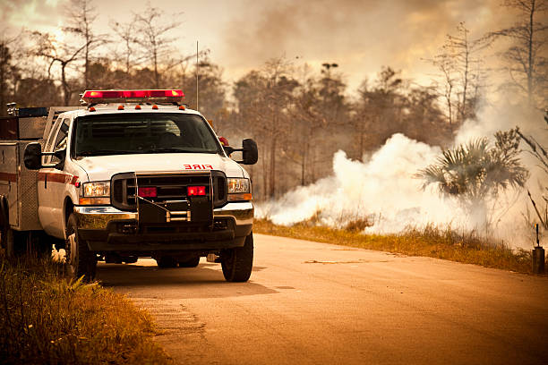 дым и природный чрезвычайных машина - big cypress swamp стоковые фото и изображения
