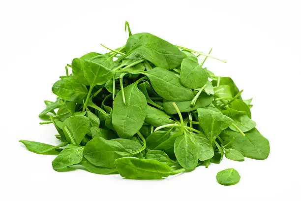 close-up of young spinach isolated on white