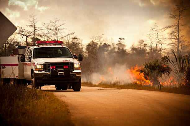дым и природный чрезвычайных машина - big cypress swamp national preserve стоковые фото и изображения