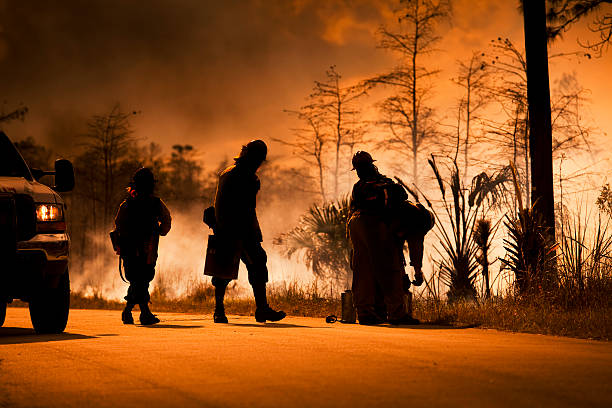 Smoke and wilderness emergency  forest fire stock pictures, royalty-free photos & images