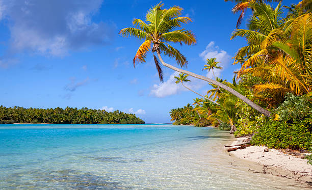 istock Tropical Island Paradise In The Cook Islands 157568359