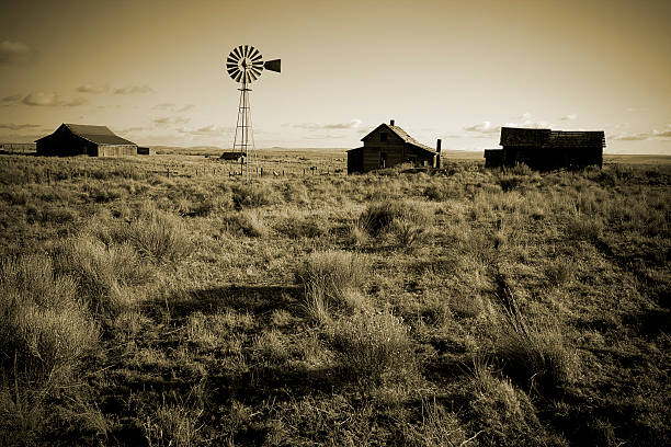 Old Homestead - foto de stock