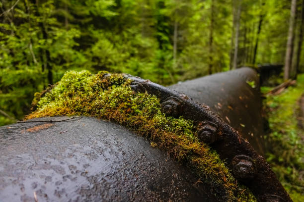 old rusty pipeline for water supply with green moss in the forest