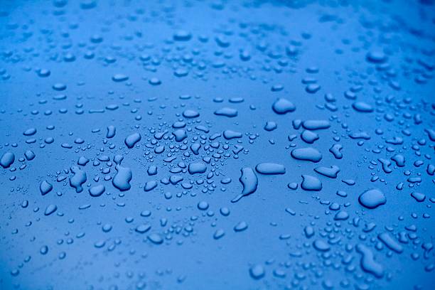 Water drops on a polished blue motorhood