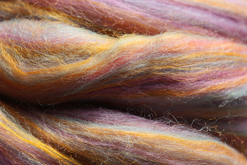 Closeup detail of colourful sheep wool merino, alpaca and silk fibres in a roving pleat, ready for spinning on traditional spinning wheel.