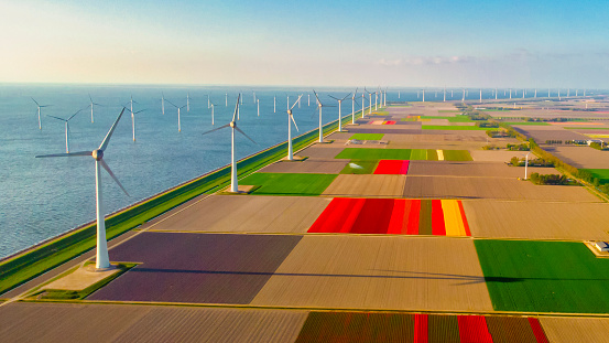 Windmill Park with a blue sky and green agricultural field, and windmill turbines park in the ocean. Netherlands Europe the biggest wind park in the Netherlands