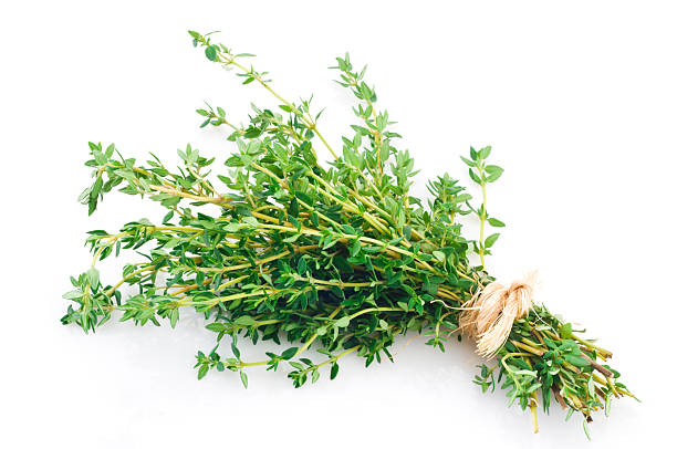 recién tomillo racimo amarrados toma sobre fondo blanco - thyme fotografías e imágenes de stock