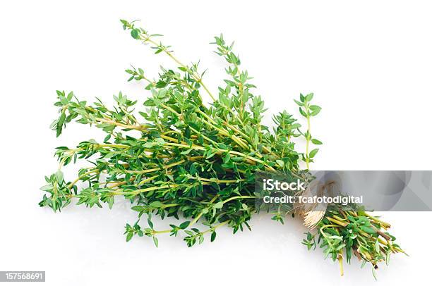 Photo libre de droit de Fresh Thyme Tas Ligoté Photo Sur Fond Blanc banque d'images et plus d'images libres de droit de Thym - Thym, Phytothérapie, Plante aromatique