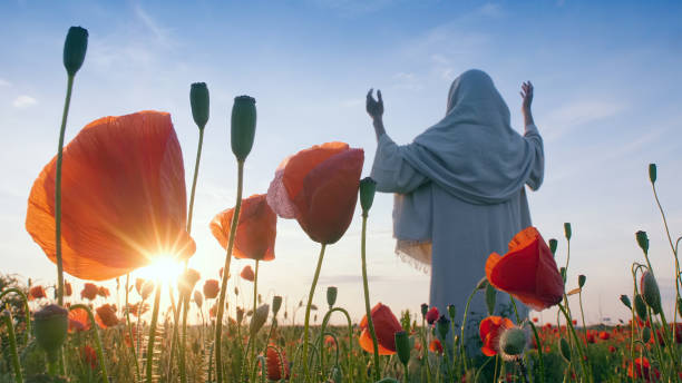 istock Christ praying with raised hands in a red poppies field at sunset 1575688469