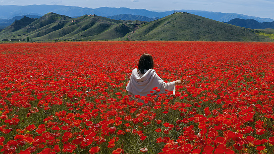 Jesus praying in a beautiful poppy field near the Galilee Hills - Israel.