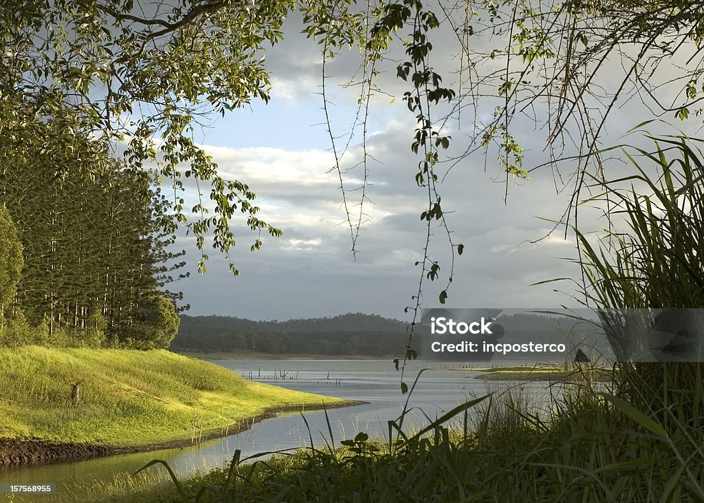 호수 풍경 - 로열티 프리 강둑 스톡 사진