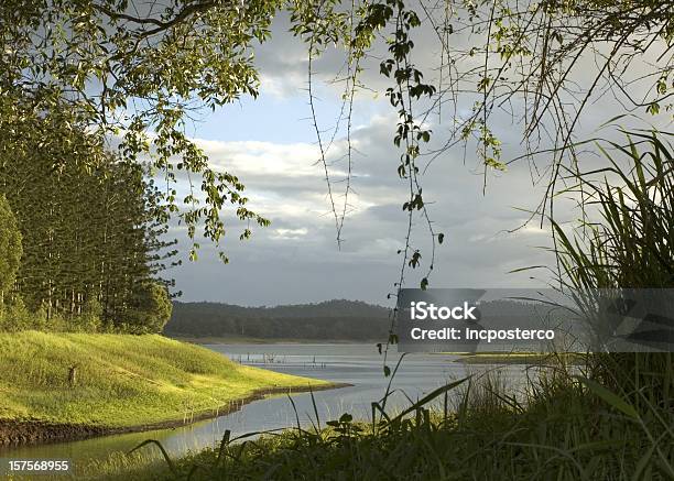 Cena Do Lago - Fotografias de stock e mais imagens de Ao Ar Livre - Ao Ar Livre, Beira d'Água, Enseada