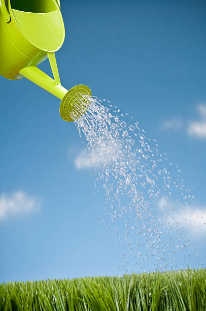 istock Watering Can Showering The Grass 157568959