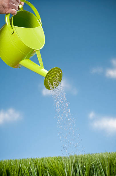 istock Watering Can Showering The Grass 157568960