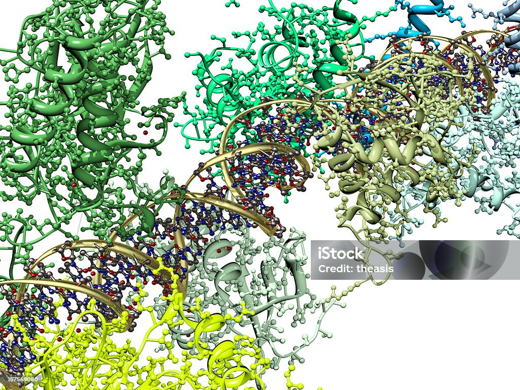 モデルの Enhanceosome プロテインコンプレックス製本の DNA - たんぱく質のロイヤリティフリーストックフォト