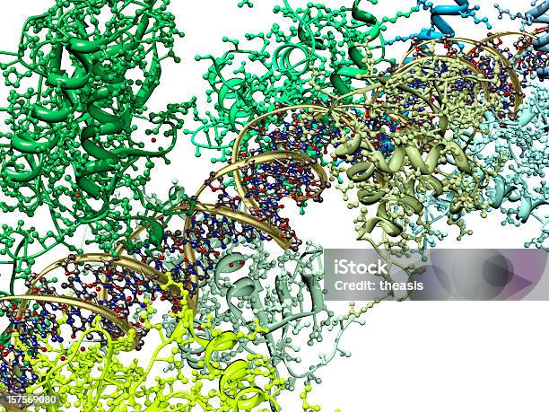 モデルの Enhanceosome プロテインコンプレックス製本の Dna - たんぱく質のストックフォトや画像を多数ご用意 - たんぱく質, 分子, DNA